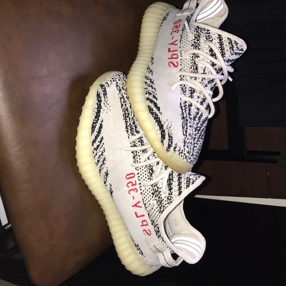Used zebra yeezys size 10
